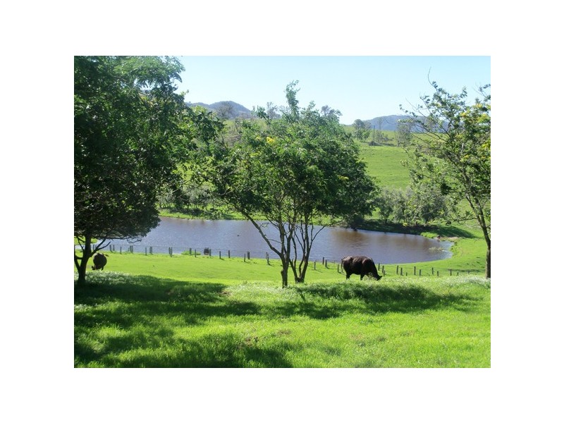 2443 Paterson River Road, Lostock NSW 2311