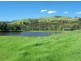 2443 Paterson River Road, Lostock NSW 2311