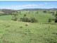2443 Paterson River Road, Lostock NSW 2311