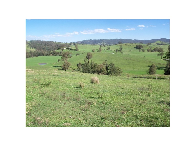 2443 Paterson River Road, Lostock NSW 2311