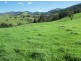 2443 Paterson River Road, Lostock NSW 2311