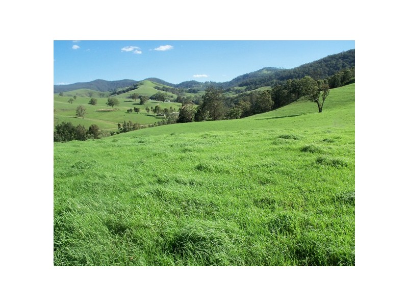 2443 Paterson River Road, Lostock NSW 2311