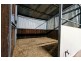33-41 Timothy Street, Londonderry NSW 2753