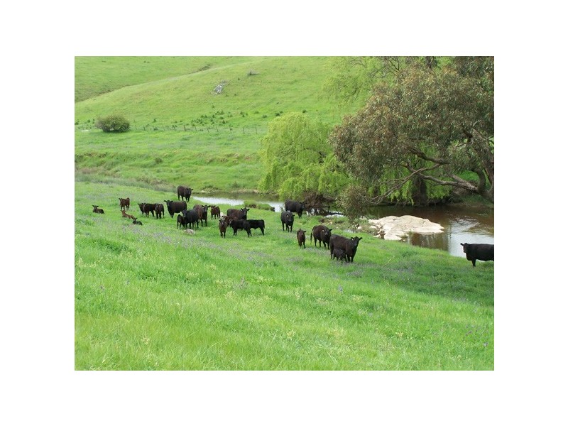 5 Julong Road, Binda NSW 2583