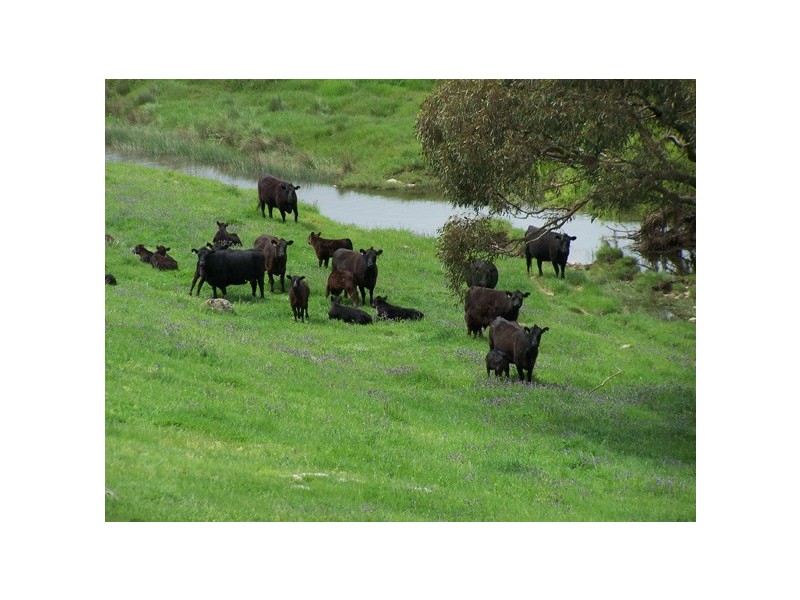 5 Julong Road, Binda NSW 2583