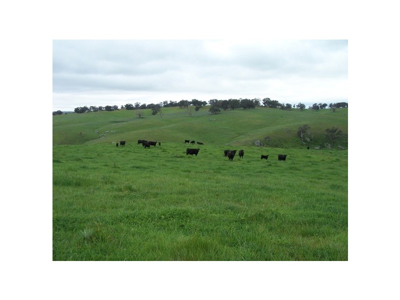 5 Julong Road, Binda NSW 2583