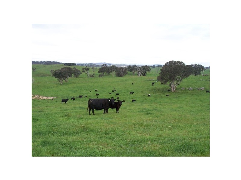 5 Julong Road, Binda NSW 2583