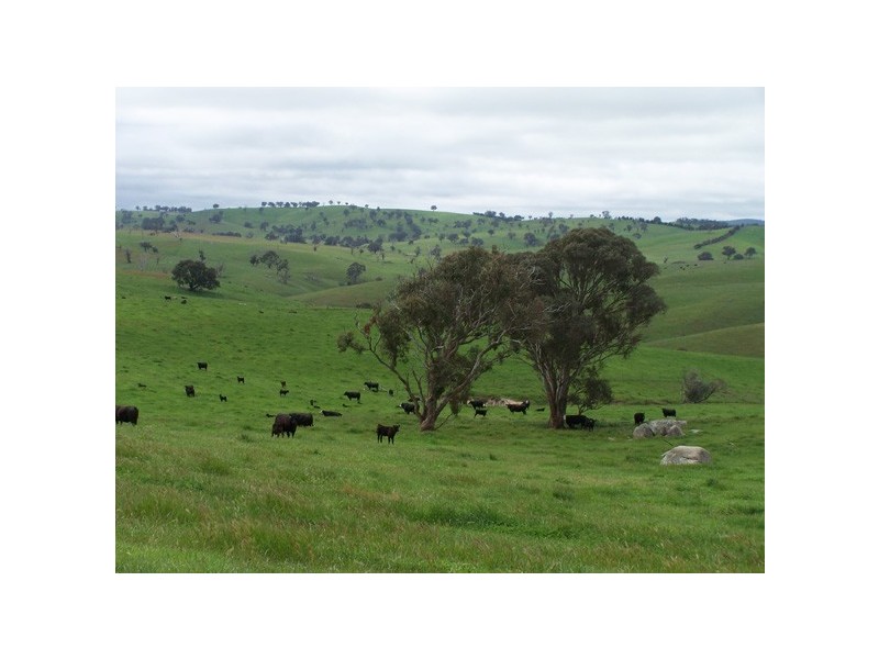 5 Julong Road, Binda NSW 2583