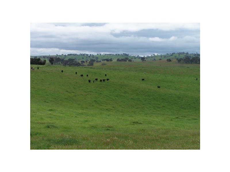 5 Julong Road, Binda NSW 2583