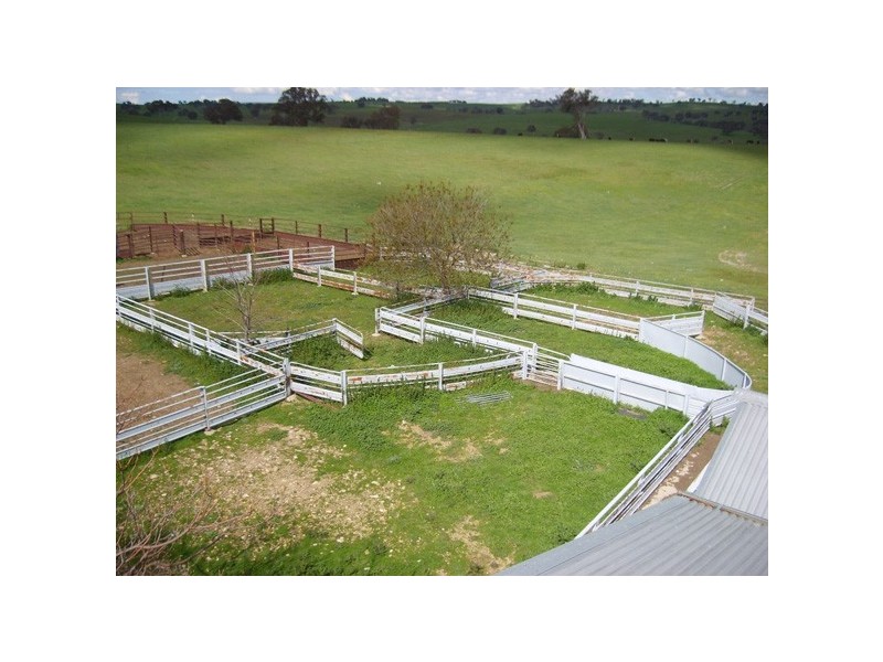 5 Julong Road, Binda NSW 2583