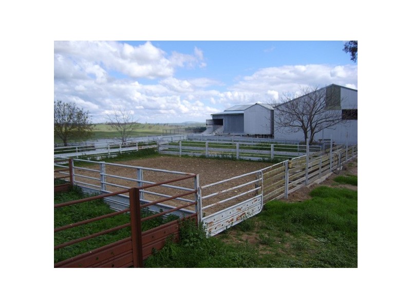 5 Julong Road, Binda NSW 2583