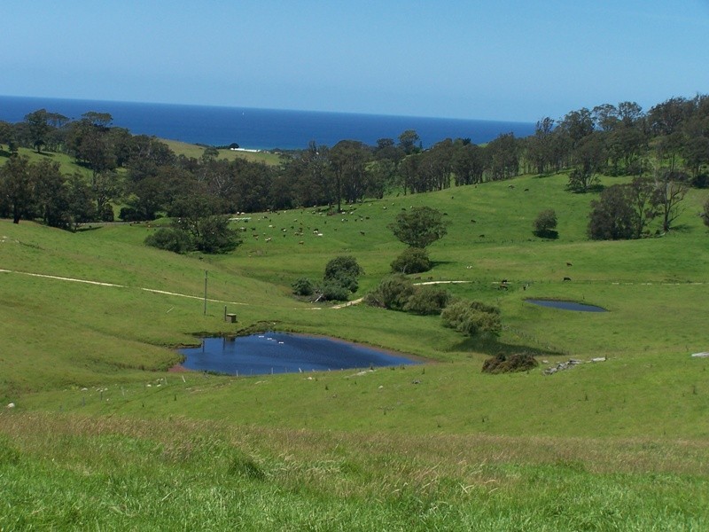 Central Tilba NSW 2546