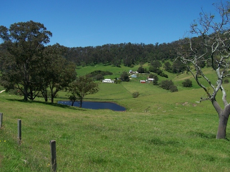 Central Tilba NSW 2546