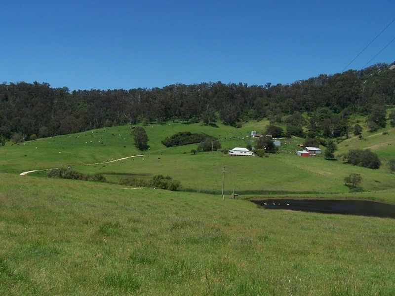 Central Tilba NSW 2546