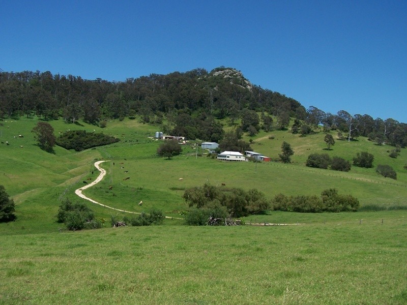 Central Tilba NSW 2546