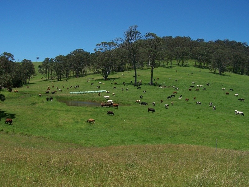 Central Tilba NSW 2546