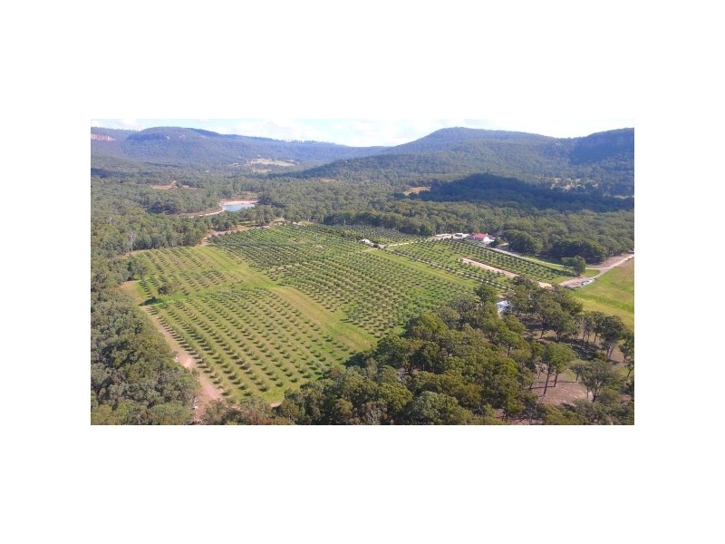 Rylstone NSW 2849