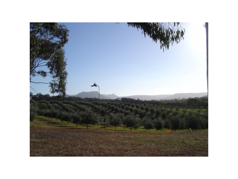 Rylstone NSW 2849