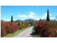 Rylstone NSW 2849