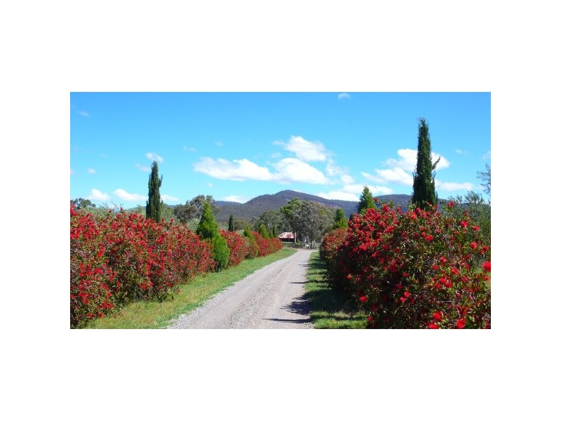 Rylstone NSW 2849