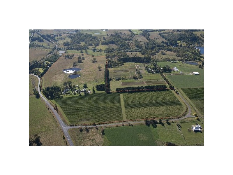 Nashdale NSW 2800