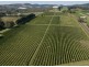 Nashdale NSW 2800