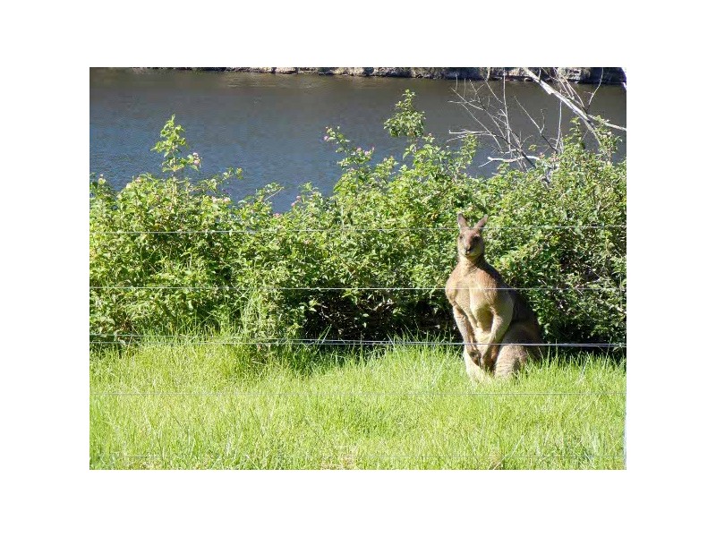 Longreach NSW 2540