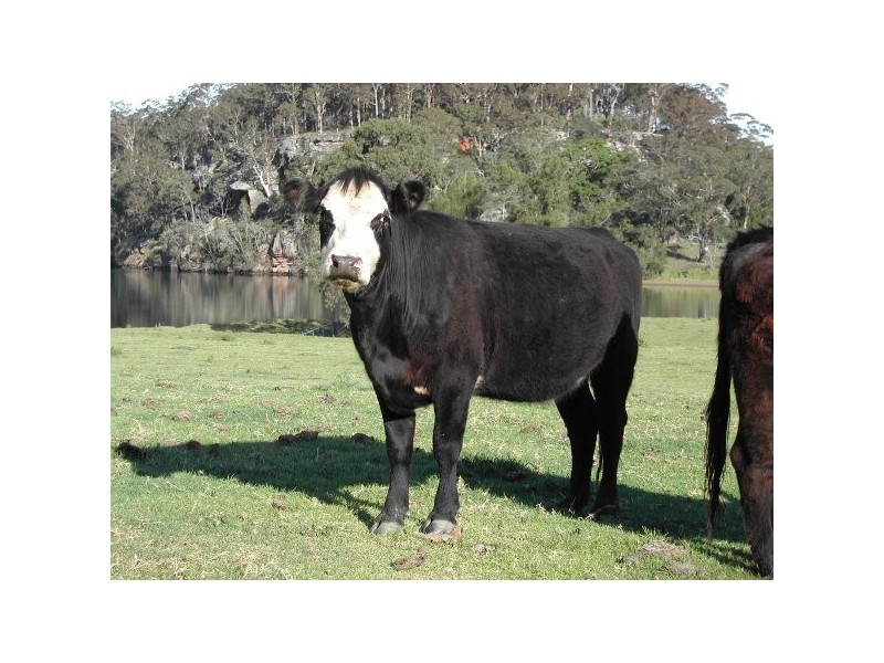 Longreach NSW 2540
