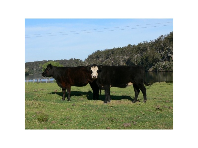 Longreach NSW 2540