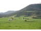 Kangaroo Valley NSW 2577