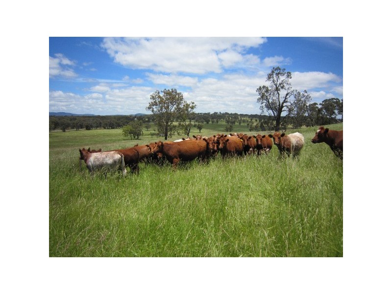 3291 New England Highway, Deepwater NSW 2371