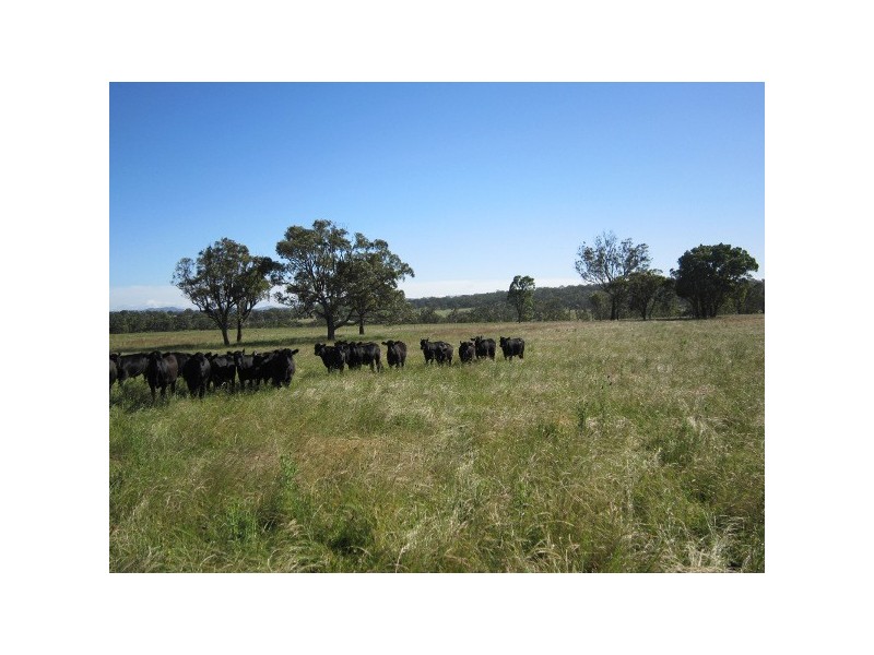 3291 New England Highway, Deepwater NSW 2371
