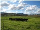 “Glenbawn Stud” 185 Alma Road, Gundy NSW 2337