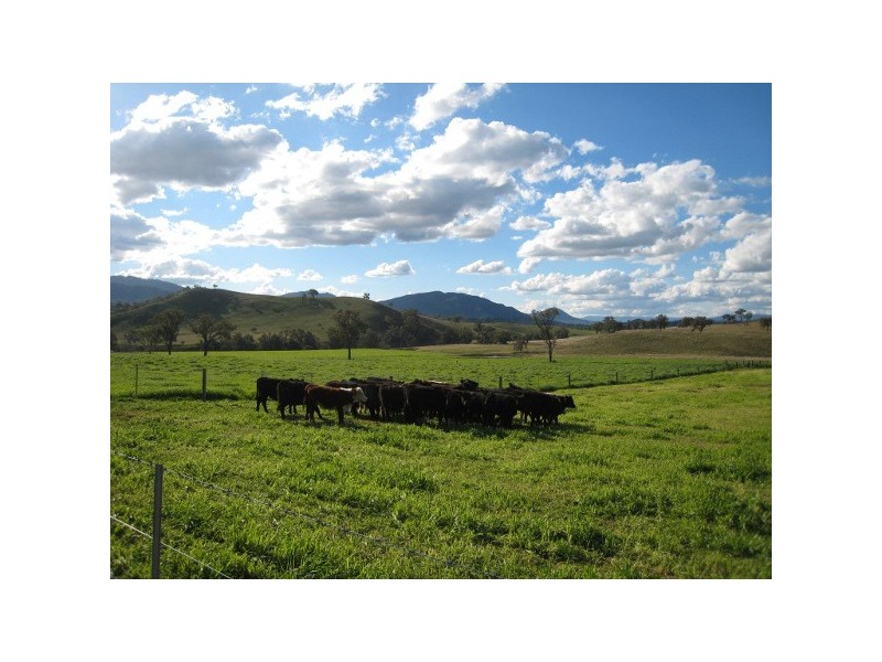 “Glenbawn Stud” 185 Alma Road, Gundy NSW 2337