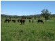 “Glenbawn Stud” 185 Alma Road, Gundy NSW 2337