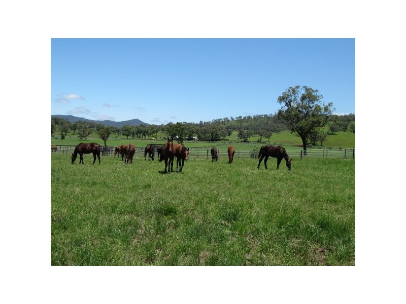 “Glenbawn Stud” 185 Alma Road, Gundy NSW 2337