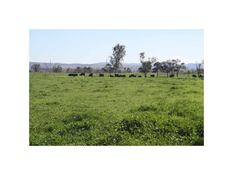 “Elgin” 679 New England Highway, Muswellbrook NSW 2333