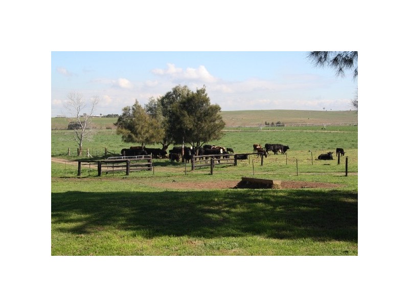 “Elgin” 679 New England Highway, Muswellbrook NSW 2333