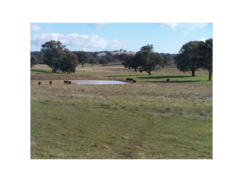 91 Kennys Lane, Lyndhurst NSW 2797