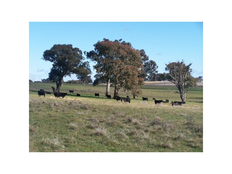 91 Kennys Lane, Lyndhurst NSW 2797