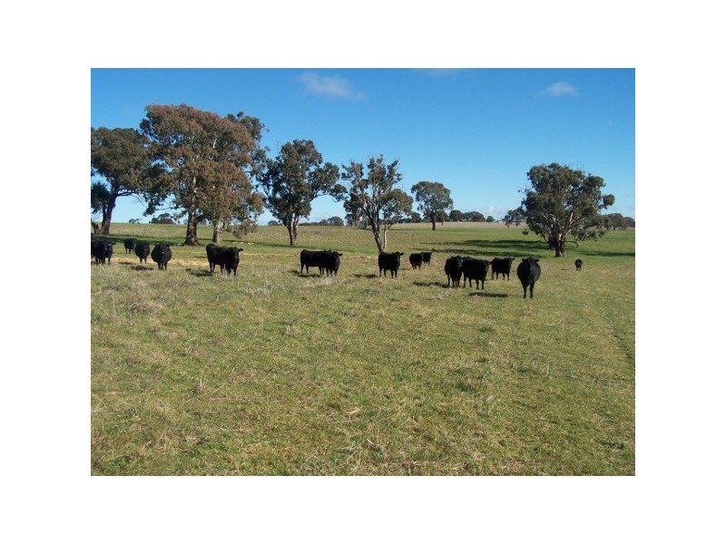 91 Kennys Lane, Lyndhurst NSW 2797