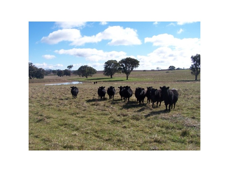 91 Kennys Lane, Lyndhurst NSW 2797