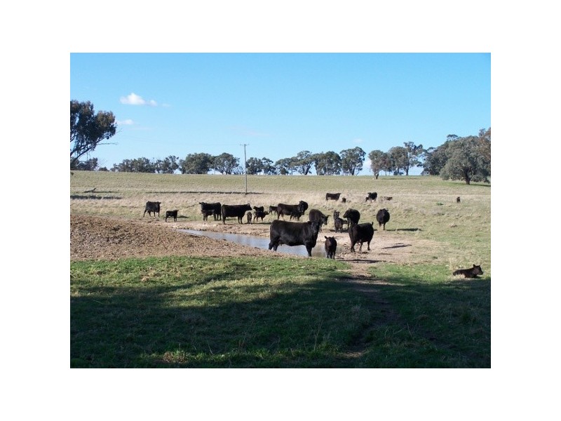 91 Kennys Lane, Lyndhurst NSW 2797