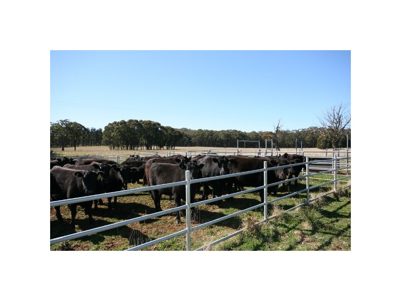 “Highland Park” 1338 Highland Way, Wingello NSW 2579