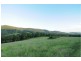 301 Foxground Road, Foxground NSW 2534