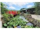 301 Foxground Road, Foxground NSW 2534