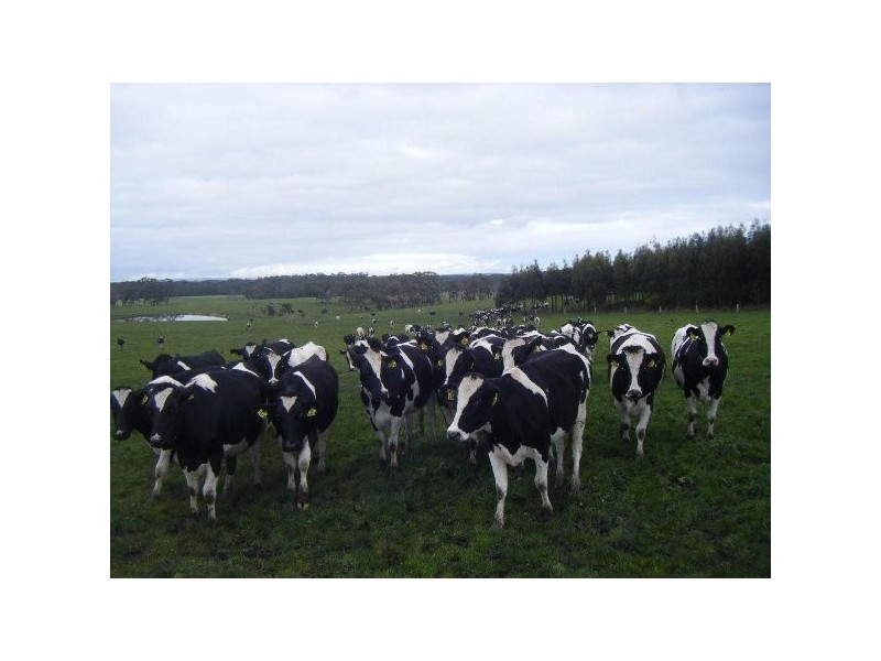 21 Pilkingtons Road, Fish Creek VIC 3959