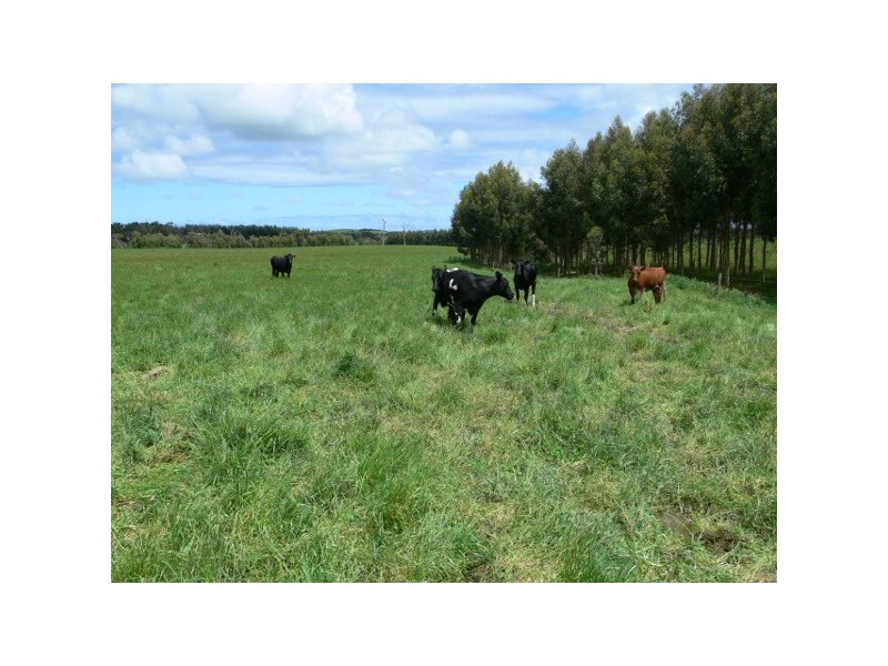 21 Pilkingtons Road, Fish Creek VIC 3959