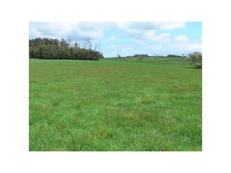 21 Pilkingtons Road, Fish Creek VIC 3959