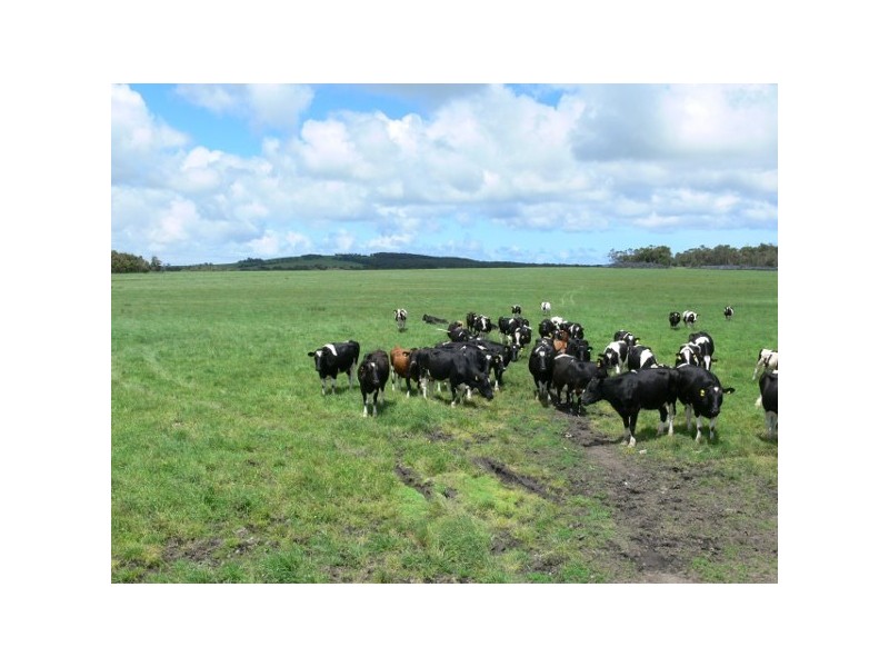 21 Pilkingtons Road, Fish Creek VIC 3959